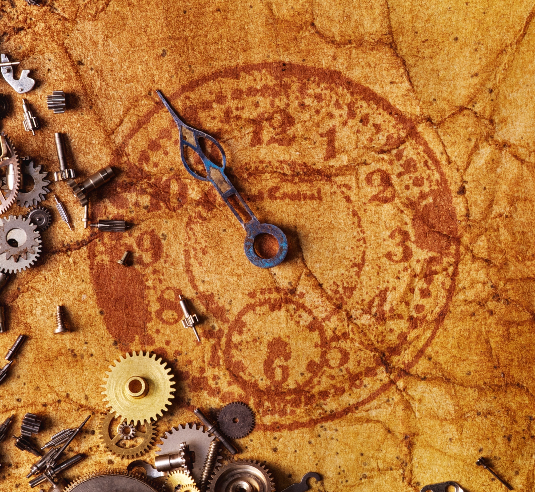 Rusty Broken Clock New Work by Thornton’s Group Supports Time-Symmetric Dollo’s Law ...